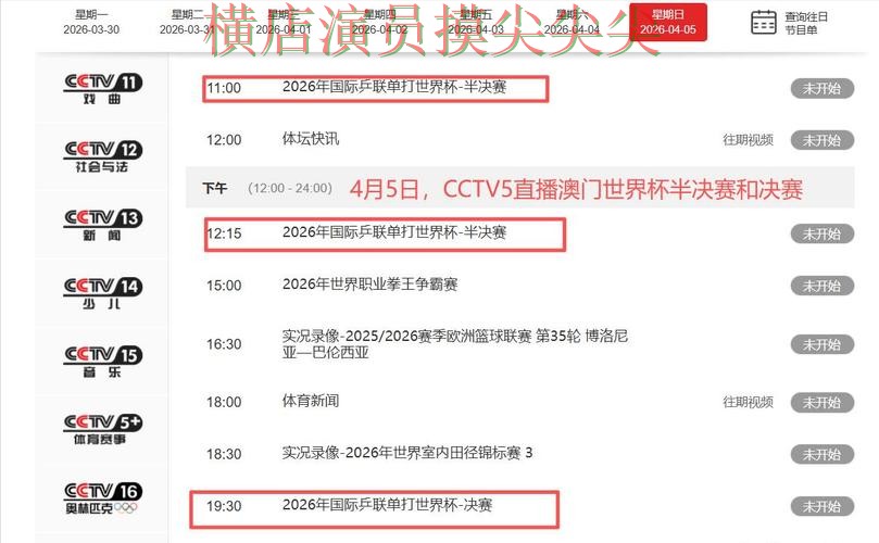 世界杯直播背景下的世界杯投注平台解析与真实体验 世界杯直播背景下的世界杯投注平台解析与真实体验