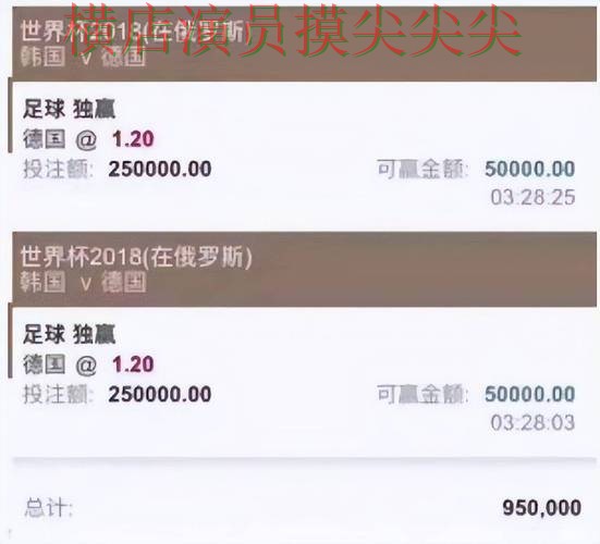 世界杯买球平台实测对比：聚焦数据分析与赛事直播体验 - 世界杯全球总决赛